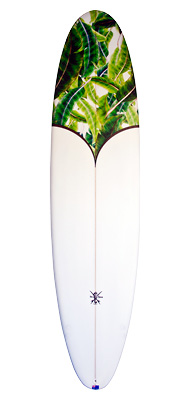 surfboard - spray 20
